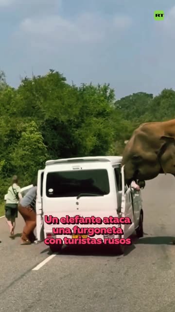 Un elefante ‘asalta’ y arranca una puerta de una furgoneta con turistas rusos