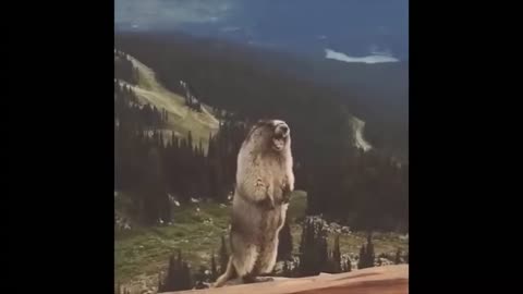 Tak się czuje po tych wszystkich wiadomościach - światowy dzień świra...