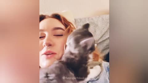Funniest Cats Ever – Try Not to Laugh Challenge!
