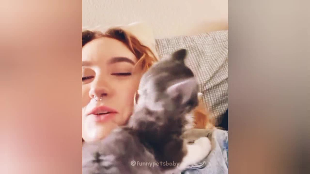 Funniest Cats Ever – Try Not to Laugh Challenge!