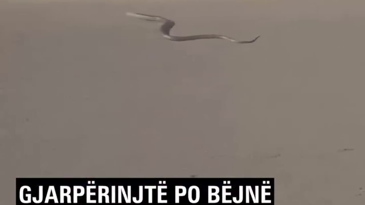 Pamjet