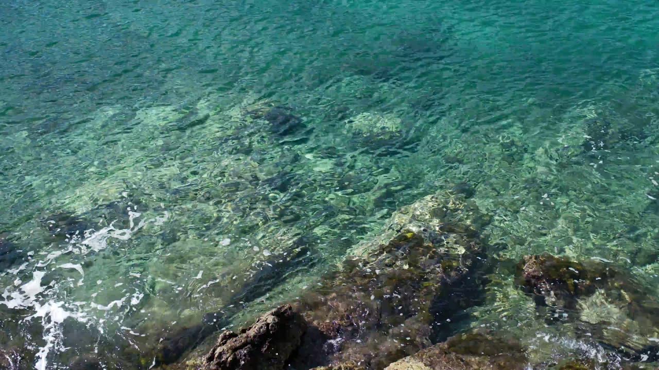 Water [RealaAce]