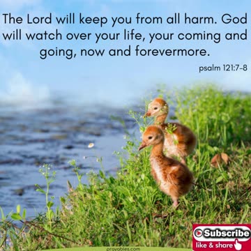 Prayer against Evil #youtubeshorts #grace #jesus #mercy #faith #fyp #trust #blessed #fear #love #joy