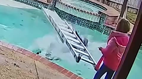 Fall into the wateR