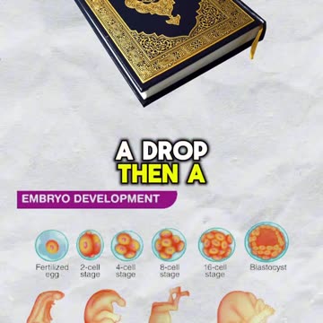 Quran described Human Development before Science