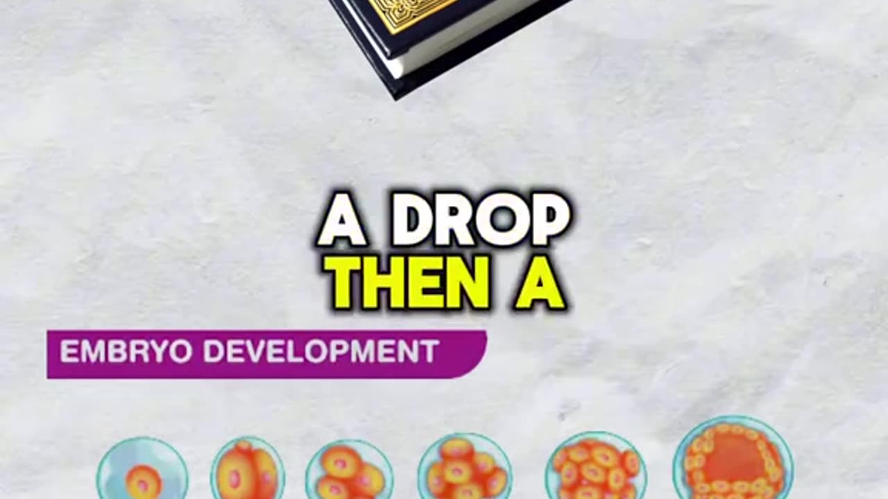 Quran described Human Development before Science