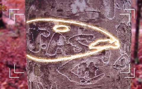 RYCERZE ZŁOTEGO KRĘGU dokument pl