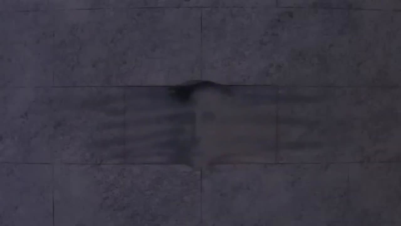 🔴Pink Floyd The Wall | Backs To The Wall