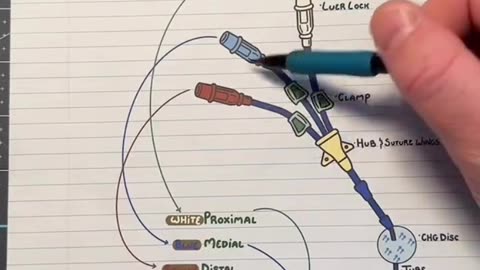 Cvp study