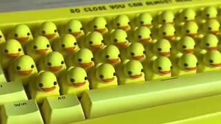 😂🐦 My Typing Speed? 120 Quacks Per Minute! | FunFM