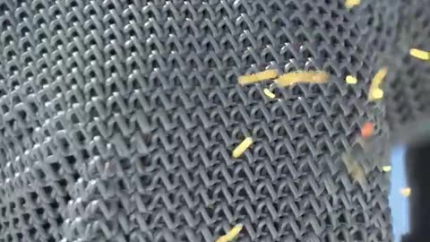 Could Ancient Armor Stop Bullets? 🤔
