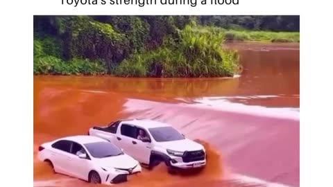Toyota Marketing