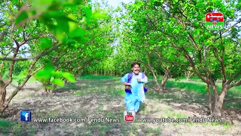 All videos