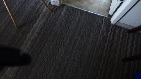 Floor at Borrego cottage