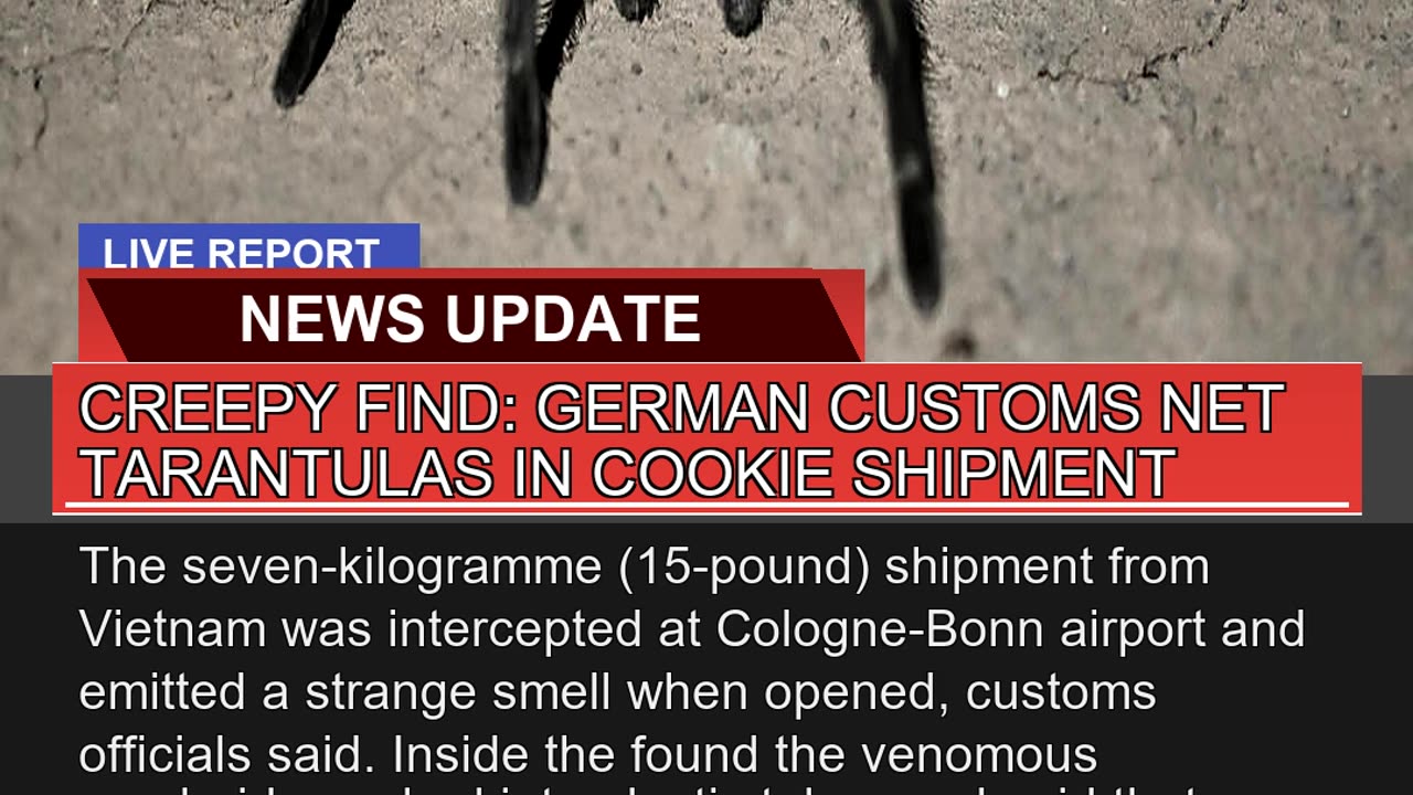 Creepy Find German Customs Net Tarantulas in Cook