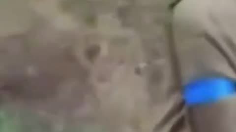 Ukraine war combat footage 9/15/25