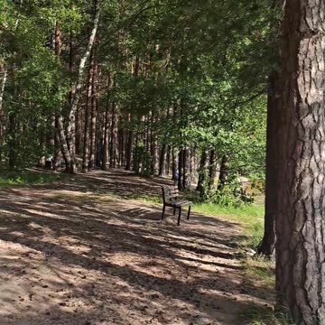 My Life in Paradise: Water, Sand, Swings & Pure Joy! 🌴