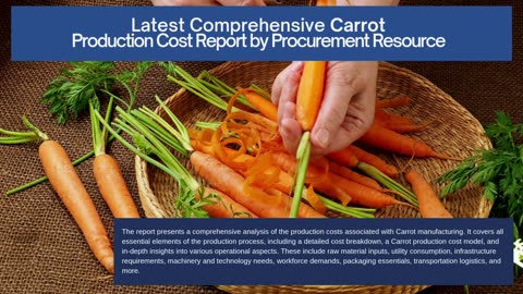 Carrot Production Cost Analysis Report