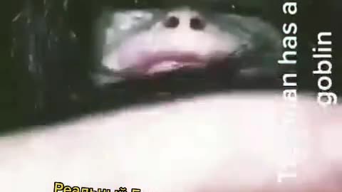 🛸👽 Another Angle of The Most Famous UFO Footage? | TheTruthAbove