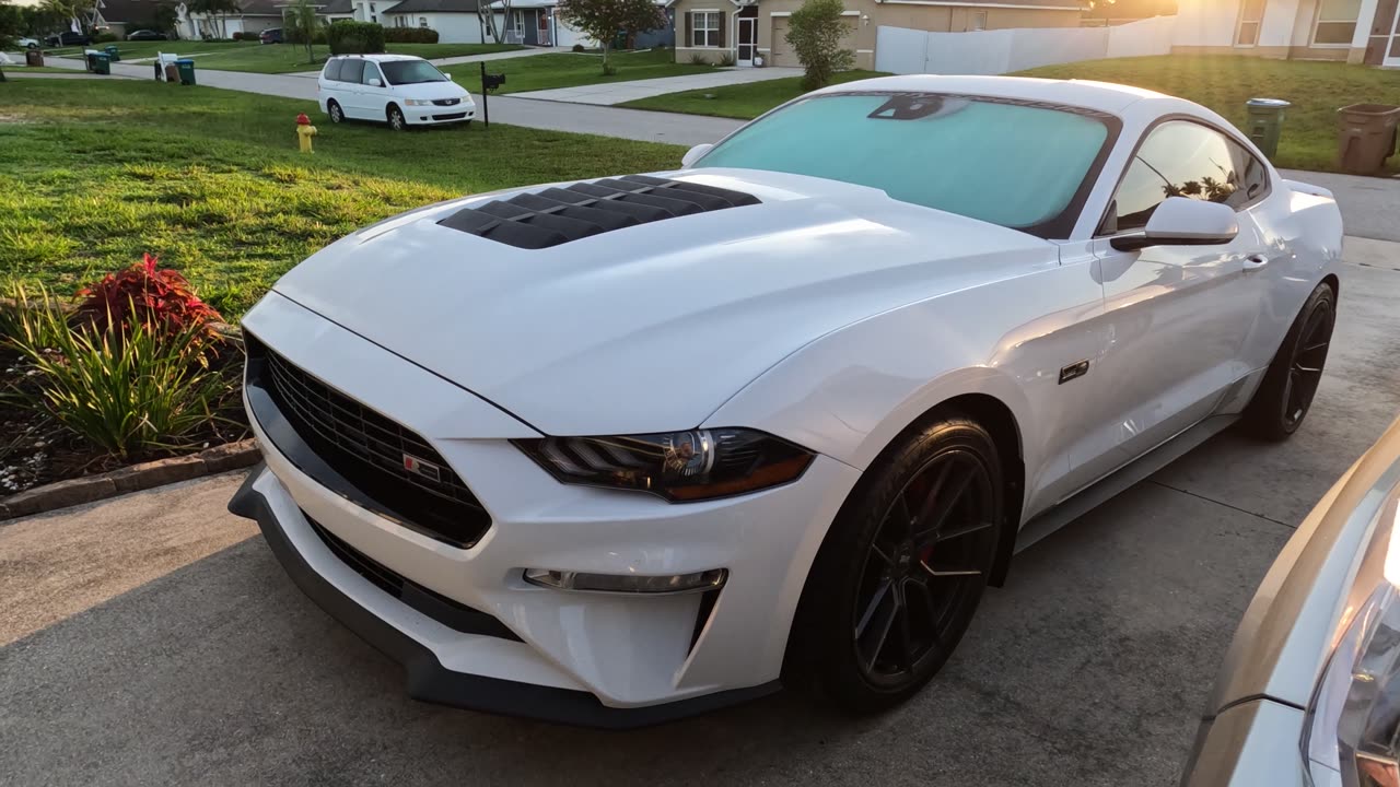 Cervini GT500 Hood Mustang S550