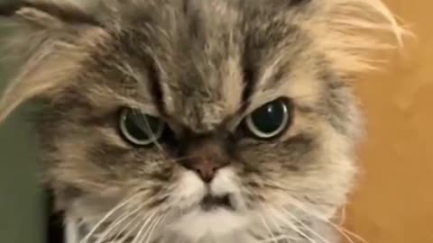 When You Wake Up And Realise You Are Still Broke. lol
