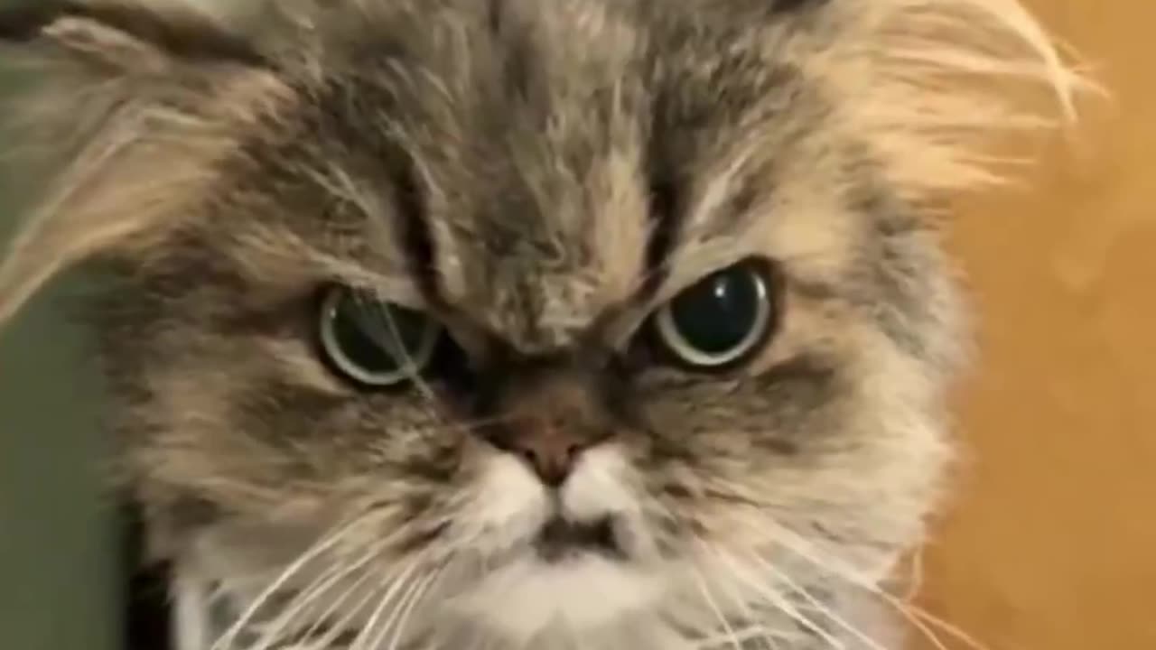 When You Wake Up And Realise You Are Still Broke. lol