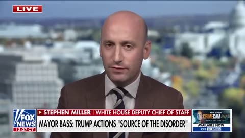 Stephen Miller: Newscum & Bass "GUILTY of CRIMES AGAINST HUMANITY."