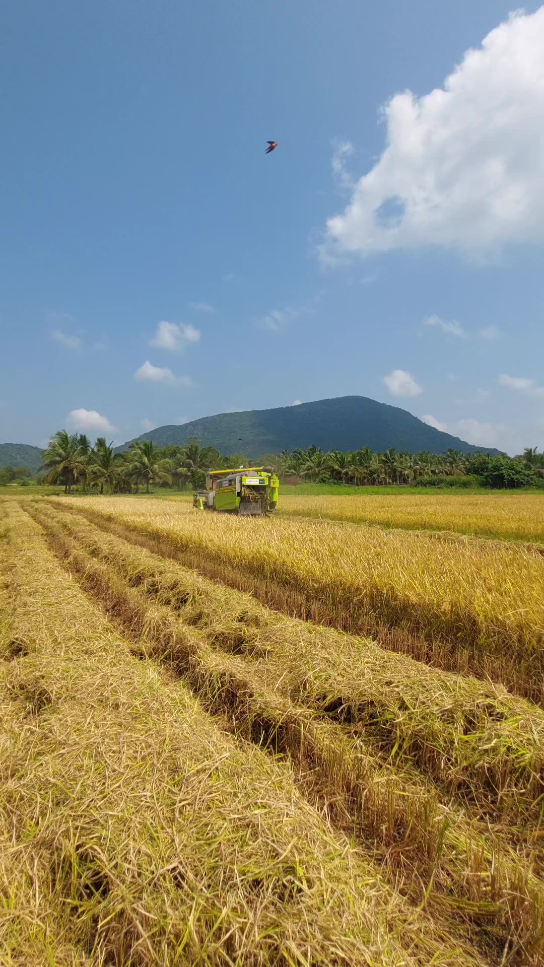 Sometimes you should go out of city