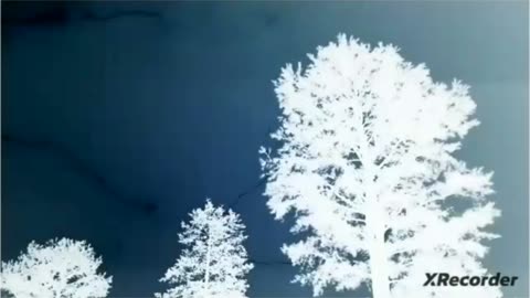 Negative filter lightning