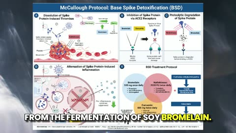 Vaccine Regretters Find McCullough Protocol Base Spike Detoxification™: Liz Wheeler Show