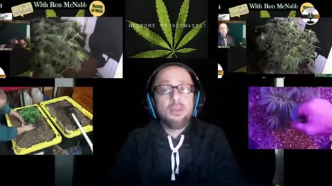 Grow 420 Today