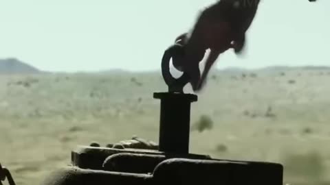 Funny escape on the train
