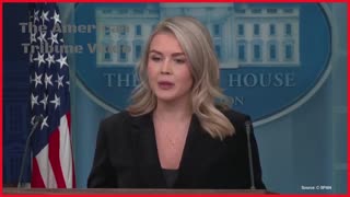 Democrat Gets Sent into Meltdown Mode after Karoline Leavitt Totally Trashes Him