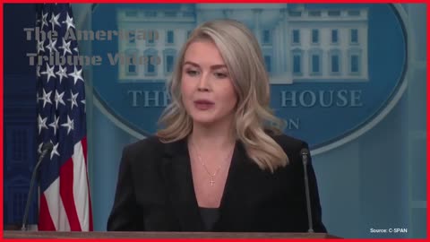 Democrat Gets Sent into Meltdown Mode after Karoline Leavitt Totally Trashes Him