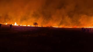 Jewish farms set on fire in Judea and Samaria.