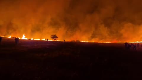 Jewish farms set on fire in Judea and Samaria.