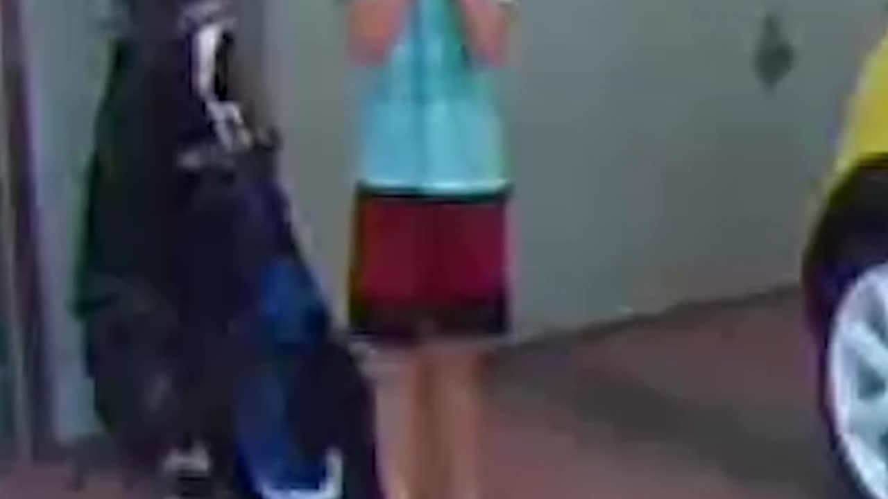 This ball has GREAT comedic timing