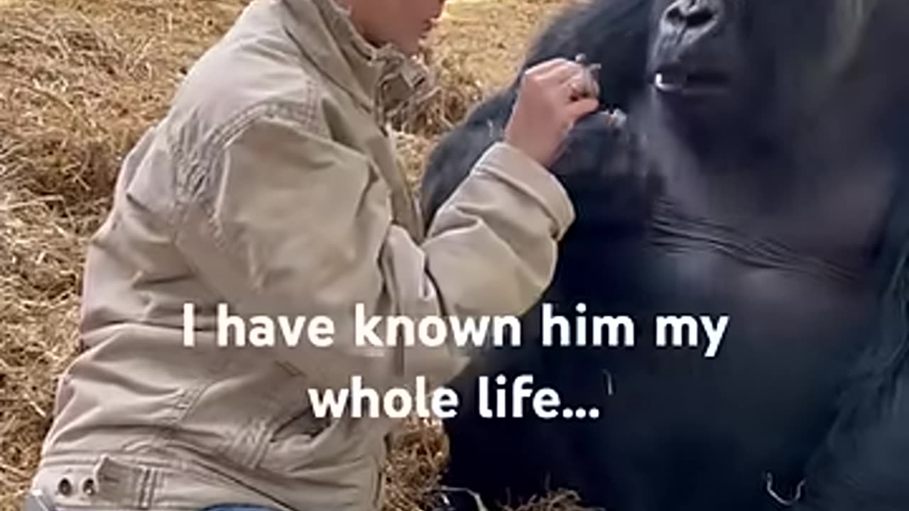 "A Shelter for Kindness: The Story of Human-Animal Love"