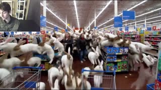Outtake #1,012 Of The Over 30 Fictitious Rabbits Roam Around A Walmart Fake Strange Video