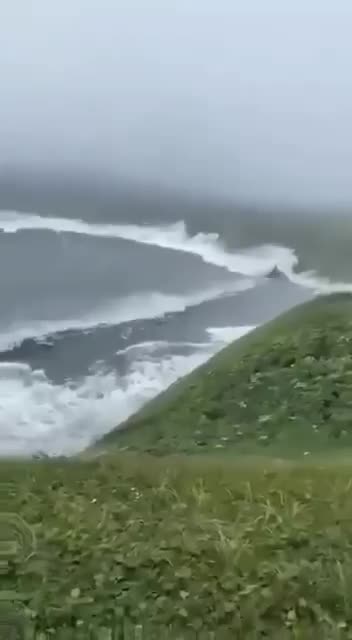A man who was walking with his dog accidentally recorded tsunami waves