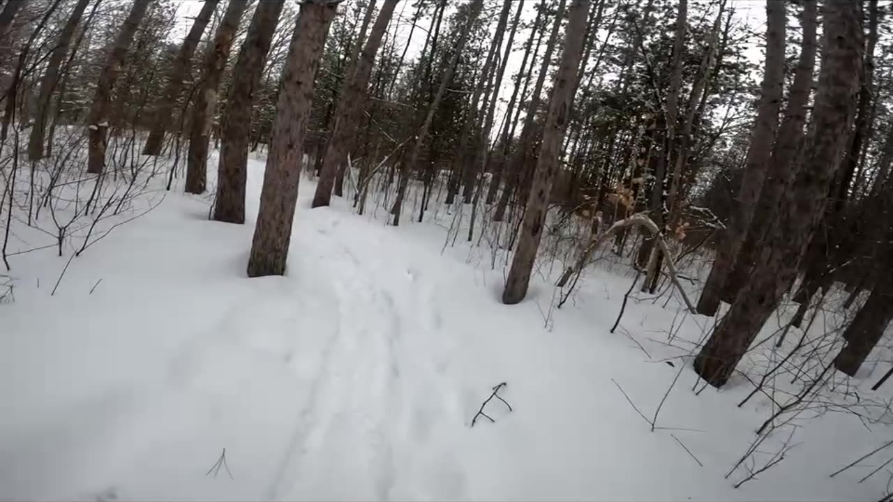 ❄️2025⛷️❄️03-03☃️-26🏂Winter Hiking⛄ Welcome To Jack Pine Trails Part 2&4 in Ottawa ⛷️❄️⛄ Canada 🍁