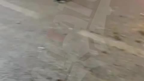 SoobrakjajkaSampionce2