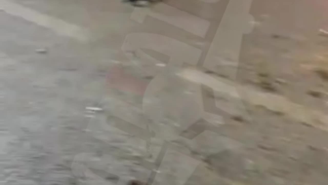 SoobrakjajkaSampionce2