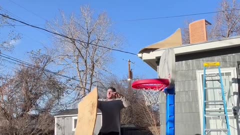 Funny Dogs! Try not to laugh until the end!🤣😂