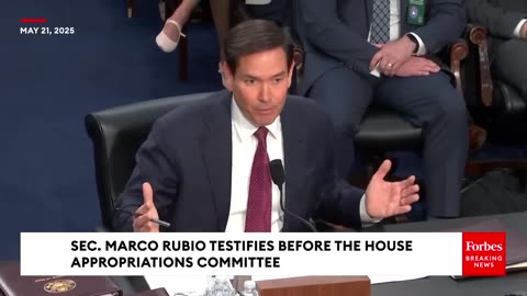 Díaz-Balart Asks State Secretary Rubio About Admin's Plans To 'Support Freedom' Internationally