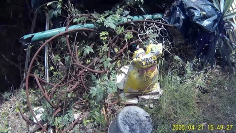 250421A___Madeira_NS-404,_planting_papaya_seeds_close_to_cave_entrance.(1080p)