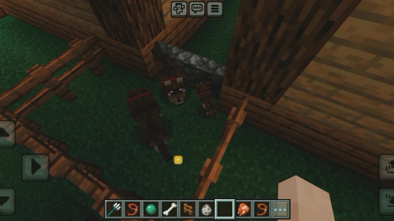How to breed dog in Minecraft