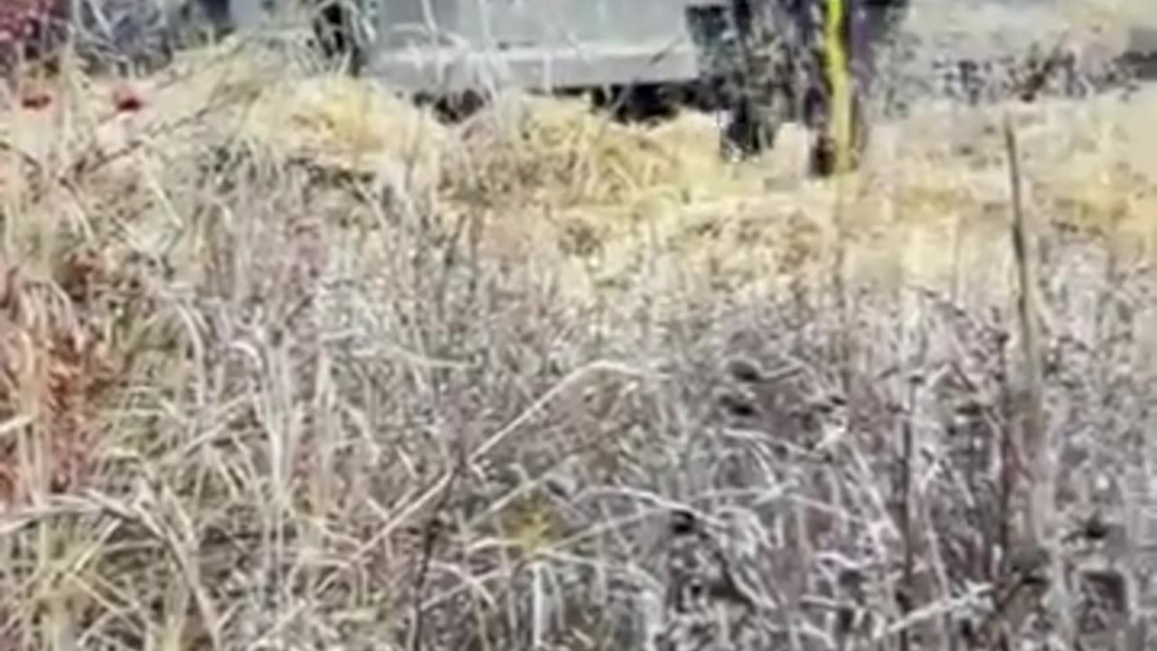 ?Shovelling hay from the so called “Hot Zone” with No PPE? ALL LIES