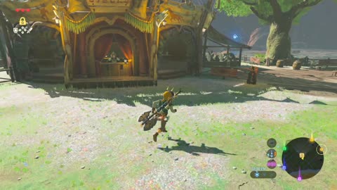 Zelda: Breath of the Wild (Switch 2) – Part 9