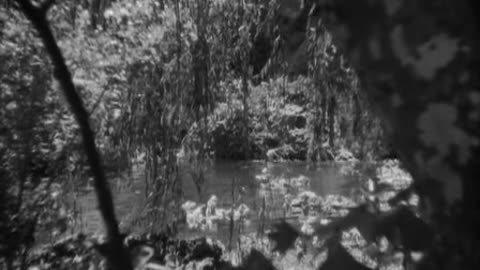 lost horizon - shangri la